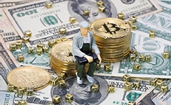 万全区开展春季苗木精细养护